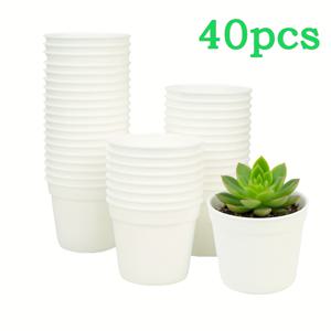 TEMU 40개 흰색 미니 화분 (배수 구멍 포함) - 실내/외 사용을 위한 작은 원형 다육 식물 화분, 튼튼한 받침대가 있는 내구성 좋은 플라스틱 모종 재배 용기, 모종, 이식 및 심기에 적합, 실내 식물용 화분, 투명화분 미니, 플라스틱 화분, 화분포트, 분갈이용품, 사각플분, 대형화분