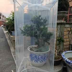 TEMU 실내외 겸용 두 가지 사이즈의 식물 온실. 내구성이 뛰어난 플라스틱 필름과 튼튼한 유리 섬유 폴대로 제작된 흰색 휴대용 온실 커버로, 서리 및 습기를 차단합니다.