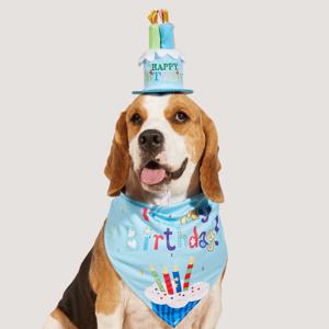 TEMU 생일 축하 테마가 특징인 애완 동물 용품 2종 세트 (생일 케이크 장식 모자, 목걸이 스카프 포함) - 장식용 헤어밴드, 파티 모자, 생일 축하 행사 중 소원을 담는 촛불 포함 - 요즘 아이들을 위한 이상적인 선물