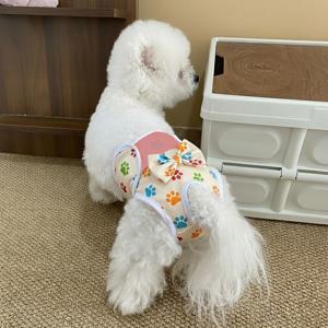 TEMU 1개 재사용 가능한 조절형 강아지 기저귀 - 통기성 메쉬 애완동물 발열 팬츠, 부드러운 착용감, 세탁 가능한 요실금 및 발정기 관리, 귀여운 보타이 & 발바닥 프린트 디자인 (소형부터 대형 강아지까지 다양한 사이즈) - 강아지 기저귀