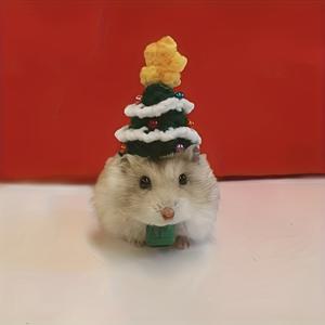 TEMU 작은 햄스터 크리스마스 모자 - 녹색 & 빨간색 리본이 달린 축제 분위기의 산타 모자, 햄스터의 지능 향상에 적합, 햄스터를 위한 선물, 햄스터 액세서리, |축제 분위기 햄스터 모자|튼튼한 햄스터 모자, 햄스터 크리스마스 모자