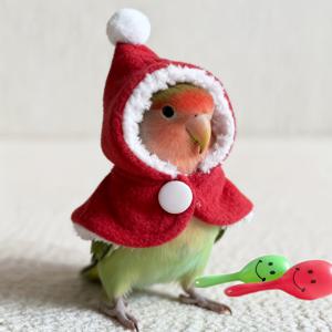 TEMU 크리스마스 새해 펫 새옷 외출용 새로운 휴일 새 망토 앵무새 겨울 옷 망토 새 의류 벨 시리즈 소재: 플러시, 플라스틱, 수제 제품 +-1인치 허용 범위 소형 앵무새용 착용 효과 참고용, 벨 색상 랜덤