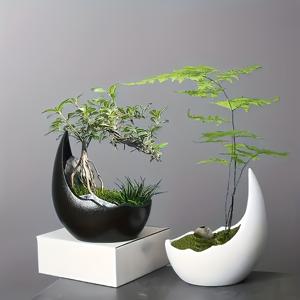 TEMU 1개/2개 세트 젠 세라믹 분재 화분 - 모던 크레센트 문 & 불규칙한 형태 배수구, 실내/야외 데스크탑 장식용 미니어처 나무, 다육이, 허브, 야외 식물 전시, 현대적 디자인, 고품질 마감, 홈 가드너
