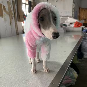 TEMU 유럽 및 미국 패션의 애완견, 트렌디, 홀치기, 프린트 플리스, 따뜻함, 얼룩말, 강아지, 사냥견, 휘펫, 고양이 잡는 견과 하이넥 칼라. 가을/겨울 따뜻한 원지 카테고리: 점프수트.