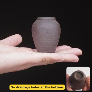 TEMU 미니 수분성 초목 플랜터용 - 소형, 초소형 세라믹 포트, 배수 구멍, 실내/실외 정원용 텍스처드 손가락 디자인, 물 배양 및 데스크톱 장식에 적합, 식물 용기 | 빈티지 스타일 포트 | 경량 포트, 미니 플랜터