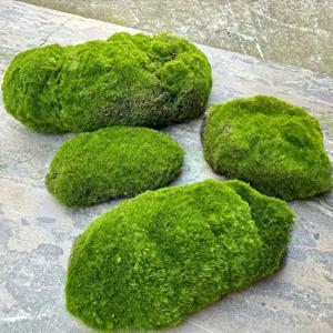 TEMU 1Pas 시뮬레이션 녹색 식물 이끼 패키지, 인조 이끼 패키지, 장식석, 장면 디스플레이용 시뮬레이션 이끼, 이끼 소프트 장식.