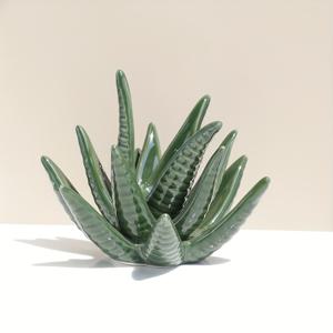 TEMU 1개 녹색 알로에 베라 세라믹 주얼리 진열 스탠드 (반지, 귀걸이, 목걸이용), 보관 트레이 포함. 이 창의적인 홈 데코 아이템은 광택 있는 표면과 독특한 다육이 디자인을 특징으로 하며, 스타일리시한 귀걸이 및 반지를 정리하는 데 적합합니다.