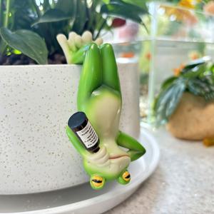 TEMU 1pc Whimsical Frog in a Bottle - 녹색 날개와 노란색 눈이 있는 손그림 레진 개구리 | 집, 정원, 사무실, 수조용 벽걸이 장식 | 크리스마스, 추수감사절, 정원 장식, 개구리 정원 장식, 사무실 장식, 재미있는 디자인, 세부적인 공예 기술을 위한 독특한 선물