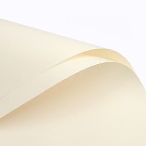 TEMU 단색 종이 20매 팩, 신선한 꽃다발용 방수 포장지, 핑크, 블랙, 화이트 색상의 장미 포장에 적합. 무광 마감 꽃다발 포장지, 수제 포장용 방수