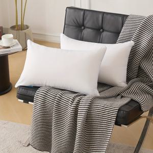 TEMU 2개입 30x50cm 흰색 직사각형 쿠션 코어 | 캐주얼 폴리에스터 벨벳, 사무실, 자동차, 소파 다용도, 사계절 사용