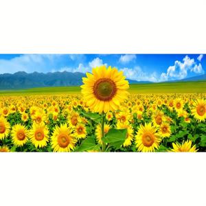 TEMU 1pc 필드 페인팅 키트, 5D DIY 풀 드릴 라운드 아트 세트, 대형 캔버스 플로랄 테마 젬 크래프트 키트, 초보자를 위한, 홈 벽 장식과 함께, 생일 또는 휴일 선물에 이상적입니다.