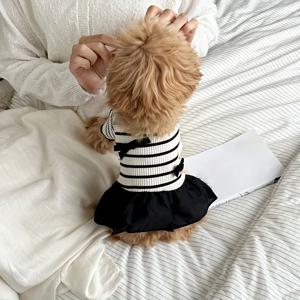 TEMU 새로운 봄/여름 커플 의상, 및 포메라니안 강아지, 고양이 모두에게 어울리는 리본 장식 드레스