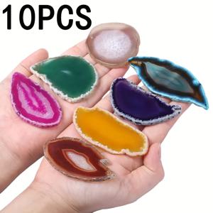 TEMU 생생한 색상의 구멍이 뚫린 연마된 얇은 조개껍데기 조각 10개 세트. 쥬얼리, 목걸이, 팔찌 제작에 완벽합니다.