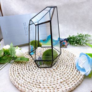 TEMU 수제 기하학적 유리 테라리움 플랜터와 육각형 베이스 - 미니어처 다육식물 랜드스케이프 생태계, 거실/사무실용 공기청정 장식품, 데스크 및 DIY 공예 재료