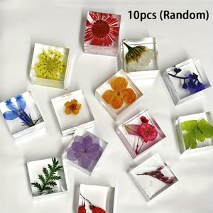 TEMU 1.6cm 크기의 랜덤 드롭 글루 식물 블록 10개 세트. 젤 속 3D 실물 꽃과 잎 표본이 특징이며, 친구를 위한 생일 선물 또는 기념품으로 완벽한 불멸의 꽃 장식입니다.