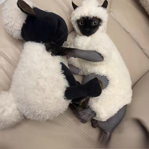 TEMU 겨울 따뜻함을 제공하는 후드 고양이복 - 스피츠, 데본, 미니 및 토이 품종을 위한 두꺼운 플리스 풀오버 - 손세탁 가능한 아크릴 및 폴리에스테르 블렌드 - 가을 및 겨울 네 발 짖는 애완동물 의류