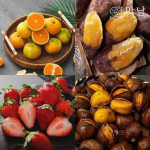 맛남 제주 노지 감귤 3kg 쿠폰가 6930원부터~ 외 한라봉/레드향 첫출하 제철 농산 특가