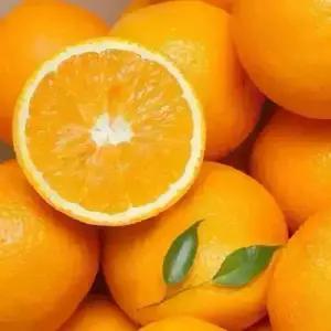 [거북농산]호주네이블 오렌지 17kg 선택