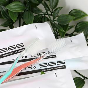 일회용칫솔 대용량 업소용 치솔 개별포장 고급 미세모 원터치 500개