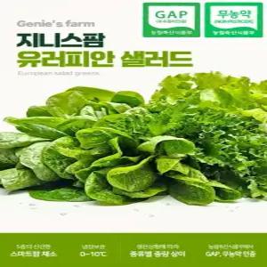 지니스팜 무농약 GAP인증 친환경유럽형 유럽 샐러드 1KG 스마트팜 수경재배{연중생산}