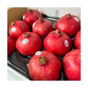 미국산 캘리포니아 생석류 2.5kg 5kg 고당도 석류 생과