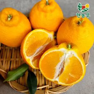 제주 한라봉 가정용 5kg 중대과(14-26과)