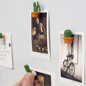 미니 귀여운모던 선인장 냉장고 자석 인테리어 6P