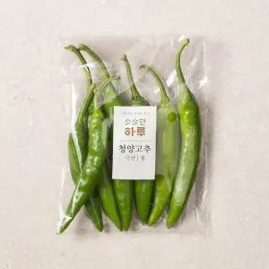소소한 하루 청양고추(봉)