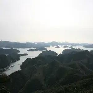 대마도 1일 #쓰시마링크호 #히타카츠 버스투어 #중식포함 #당일여행 #밸류마트