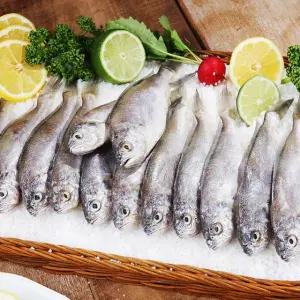 국내산 참조기 1kg+1kg 총 2kg (40-50미)