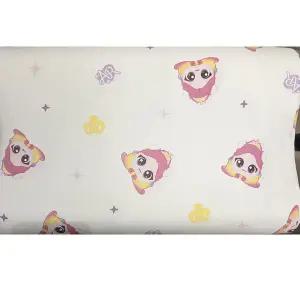 캐치티니핑 오로라핑 메모리폼 베개 티니핑베개 60X40cm