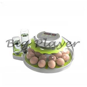 소형 가정용 전자동 앵무새 비둘기 특수