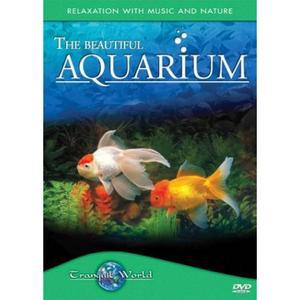 아름다운 수족관