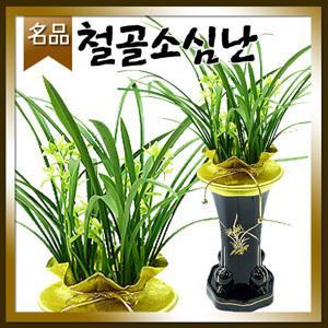 철골소심동양난[승진 취임 영전 개업 이전 전시회 전시회]전국당일 무료배송/名品동양란꽃배달