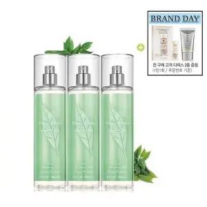 [엘리자베스아덴](의정부점)그린티 바디미스트236ml 트리오 세트 (정품3개+전구매사은품 추가)