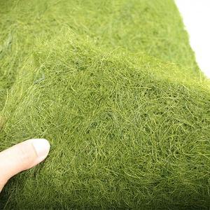 서해안 자연산 생감태 감태김 20장