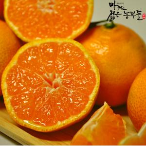 젊은농부들 제주도 감귤 10kg 밀감 로얄혼합/중대과(10kg미만)/못난이혼합과