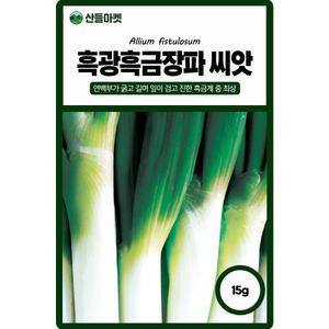 산들마켓 흑광흑금장 대파 씨앗 15g 연백부가 굵고 길며 잎이 검고 흑금계 중 최상급인 내병계 우수 품종