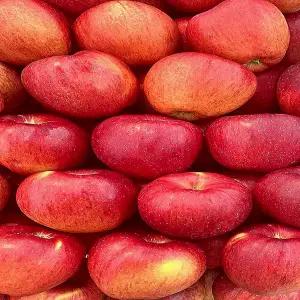 청송 안동 부사 가정용 못난이 경북 사과 빨간과일 3kg 5kg