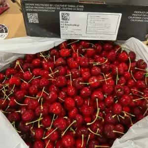 직수입 칠레산 생체리 10row 2.5kg 5kg 벌크 대용량 1box