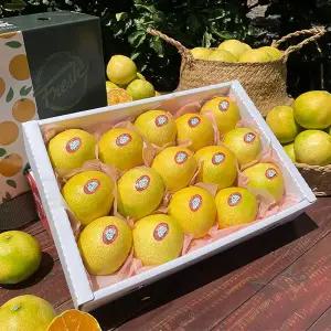 돌담프룻 제주산 프리미엄 황금향 선물용 4.5kg