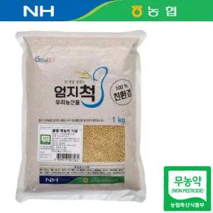 제주도 25년산 국산 무농약 기장 1kg 찰 쌀 기장밥 식사 정식 간편요리 점심시간 일식 회식
