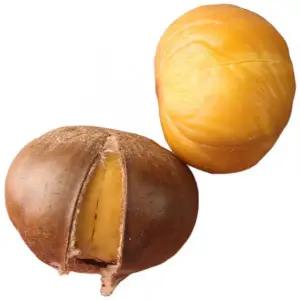 2025년 국산 햇 공주밤 칼집 약단밤 알밤 군밤 약밤 생율 밤 군밤용밤 맛밤 1kg 2kg 4kg 주전부리 간식 주