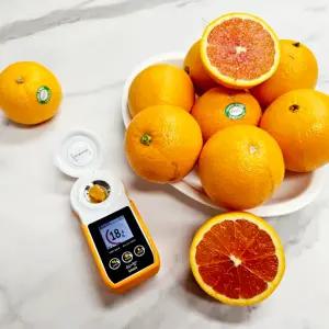 네이블 오렌지 113과(17kg) 중소과 1박스