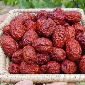 [산지직송] 보은 햇 건대추 1kg(26mm)