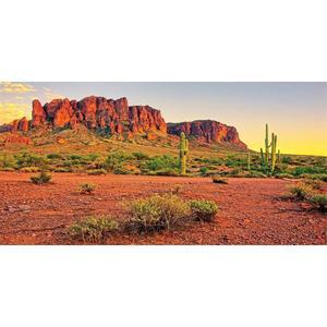 AWERT 30x12인치 파충류 서식지 배경 하늘 오아시스 마운틴 선인장 태양과 사막 테라리움 내구성이 뛰어난 폴리에스터