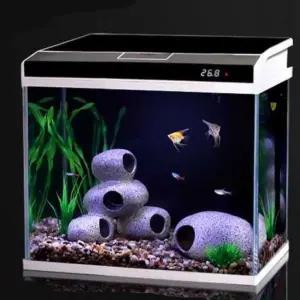 무환수 어항 베타 우파루파 물고기 금붕어 세트