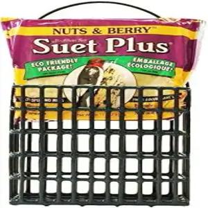 야생동물 과학 스위트 피더 케이지 케이크 콤보 1개와 견과류 및 베리 11온스 포함