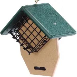 버드 초이스 더블 스위트 피더와 테일 소품 케이크 2개 보유 루프 우드피커 제이스 누태치가 있는 행잉