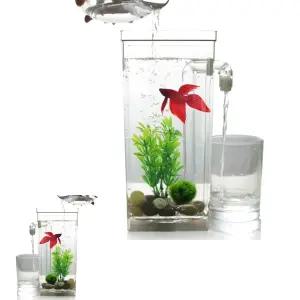 제이커 마리모 거북이 물고기 관상용새우 해수어 해파리키우기 베 자동 금붕어 물멍 구피 네모난수족관 어항 청소